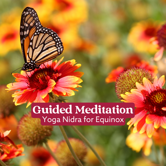 15 Minute Yoga Nidra for Equinox